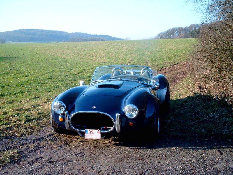 MARTINS RANCH Shelby Cobra  